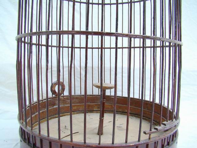 鸟笼|bird cage